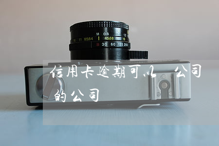 信用卡逾期可以開公司嗎(有解決信用卡逾期的公司嗎)