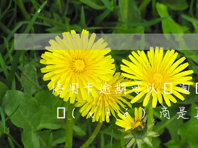 信用卡逾期可以開淘寶嗎(淘寶上信用卡逾期協(xié)商是真的嗎)