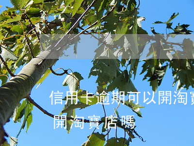 信用卡逾期可以開淘寶店嗎(支付寶逾期可以開淘寶店嗎)