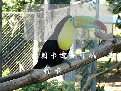 信用卡逾期可以開通白條嗎(白條逾期能辦理銀行卡嗎)
