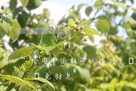 信用卡逾期可以降利息嗎(信用卡逾期能不能減免利息)