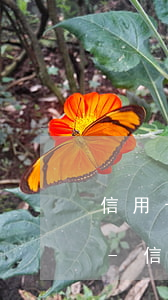 信用卡逾期可以隨便扣儲(chǔ)蓄卡嗎-信用卡逾期可以隨便扣儲(chǔ)蓄卡嗎