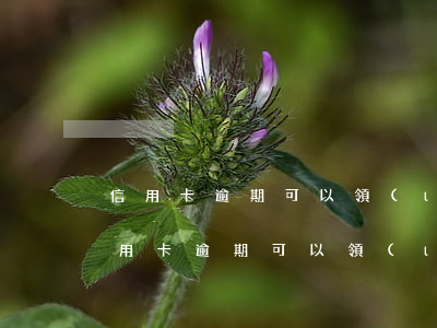信用卡逾期可以領(lǐng)紀念幣嗎(信用卡逾期可以領(lǐng)紀念幣嗎)