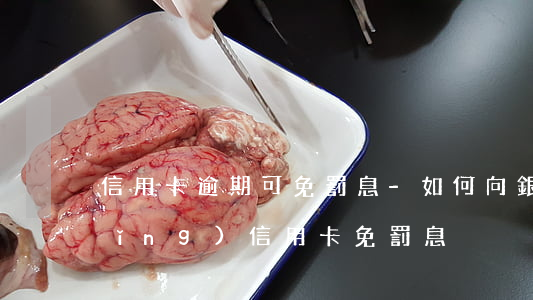 信用卡逾期可免罰息-如何向銀行申請(qǐng)信用卡免罰息
