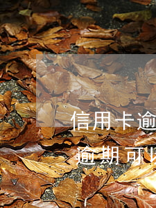 信用卡逾期可協(xié)商還本金(信用卡逾期可以跟銀行協(xié)商還本金嗎)