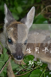 信用卡逾期可否协商分期还(逾期可以协商分期吗)