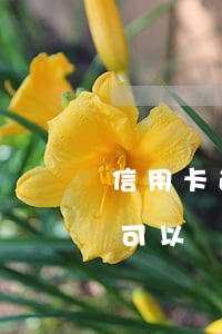 信用卡逾期可否協(xié)商分期還(逾期可以協(xié)商分期嗎)