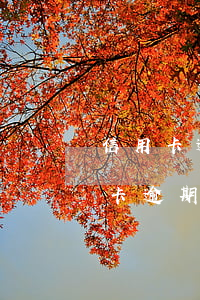 信用卡逾期可商量還本金嗎(交通銀行的信用卡逾期了可以協(xié)商還本金嗎)
