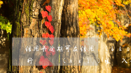 信用卡逾期可在信用報(bào)告上(逾期行為,將會(huì)被記入信用報(bào)告)