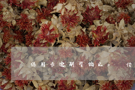 信用卡逾期可怕么-為什么信用卡逾期