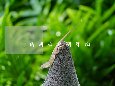 信用卡逾期可怕嗎