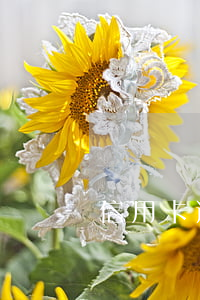信用卡逾期可撤销吗 信用卡逾期可撤销吗