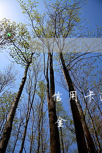 信用卡逾期可減免違約金嗎(信用卡逾期違約金)