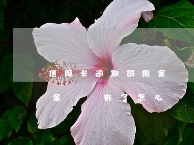 信用卡逾期可用余額沒有了(信用卡逾期可用余額沒有了怎么辦)