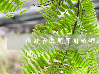 信用卡逾期可用婚姻法(信用卡逾期可用婚姻法)