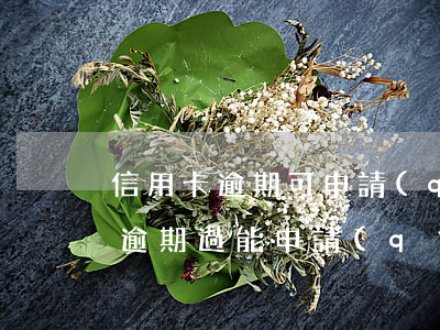 信用卡逾期可申請(qǐng)信用卡嗎(有逾期過能申請(qǐng)信用卡嗎)