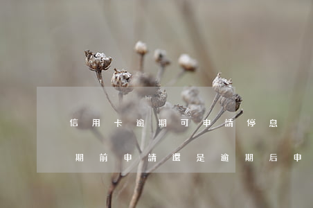 信用卡逾期可申請停息掛賬嗎(停息掛賬是逾期前申請還是逾期后申請)