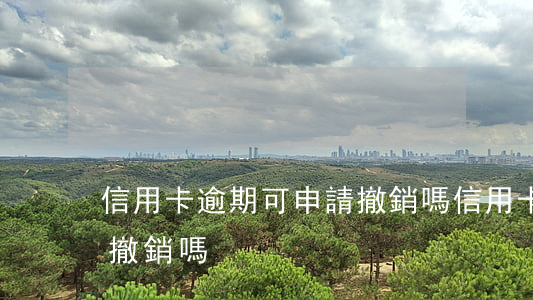 信用卡逾期可申請撤銷嗎(信用卡逾期可申請撤銷嗎)