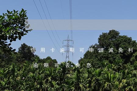 信用卡逾期可申請減免利息嗎(因服刑信用卡逾期可否免息)