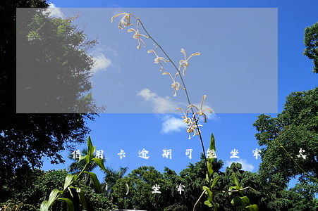 信用卡逾期可能坐牢嗎 欠信用卡逾期會(huì)坐牢嗎