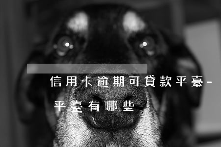 信用卡逾期可貸款平臺-信用卡逾期可貸款平臺有哪些