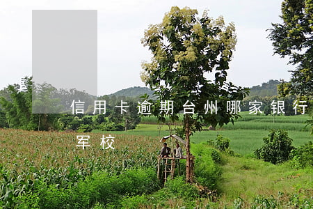 信用卡逾期台州哪家银行好贷点(中专士兵考军校)