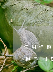 信用卡逾期司法上門取證注意什么-信用卡逾期司法上門取證注意什么問題