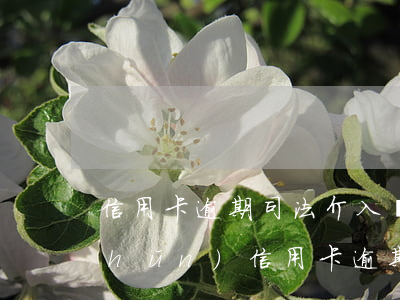 信用卡逾期司法介入標(biāo)準(zhǔn)(信用卡逾期公安機(jī)關(guān)會(huì)介入嗎)