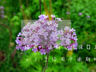 信用卡逾期司法保護上限(最高法關(guān)于信用卡逾期的法律規(guī)定)