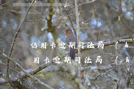 信用卡逾期司法局會(huì)介入嗎-信用卡逾期司法局會(huì)介入嗎知乎
