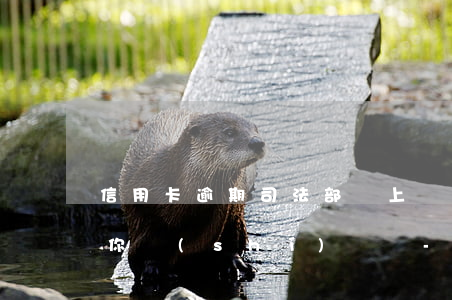 信用卡逾期司法部門上門會(huì)告訴你時(shí)間嗎-信用卡逾期司法部門上門會(huì)告訴你時(shí)間嗎是真的嗎