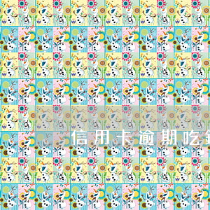 信用卡逾期吃錢嗎(欠信用卡錢逾期會坐牢嗎)