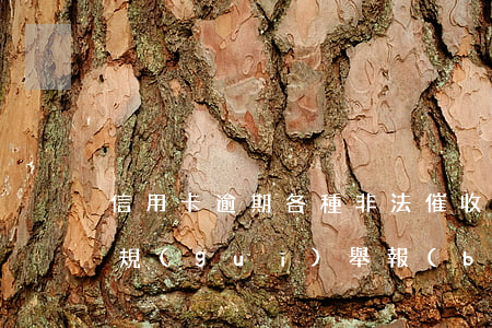 信用卡逾期各種非法催收(信用卡逾期催收違規(guī)舉報(bào))