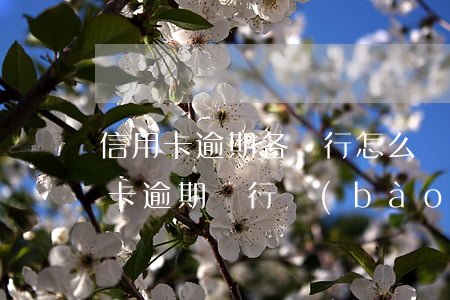 信用卡逾期各銀行怎么報(bào)案(信用卡逾期銀行報(bào)案了要多久才能立案)