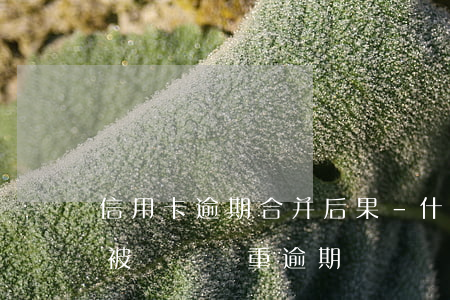 信用卡逾期合并后果-什么情況下信用卡會被認為嚴重逾期