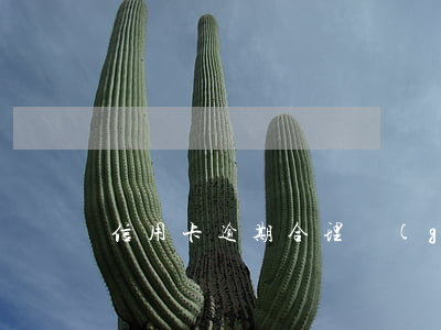 信用卡逾期合理規(guī)劃