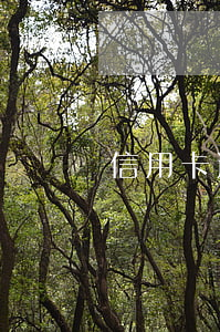 信用卡逾期合理規(guī)避征信