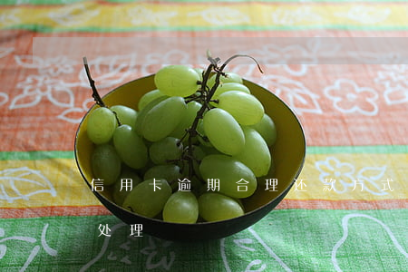 信用卡逾期合理还款方式(最新的信用卡逾期处理)