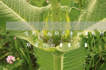 信用卡逾期同事和親戚朋友(有同事信用卡逾期留我的電話咋辦)