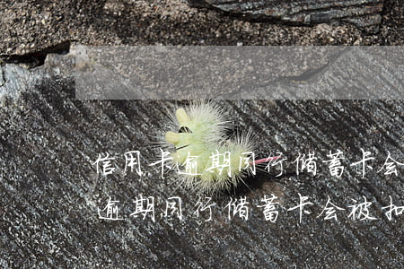 信用卡逾期同行储蓄卡会被扣钱吗-信用卡逾期同行储蓄卡会被扣钱吗安全吗