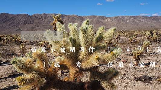 信用卡逾期同行儲(chǔ)蓄卡會(huì)被鎖定嗎-信用卡逾期同行儲(chǔ)蓄卡會(huì)被鎖定嗎怎么解鎖