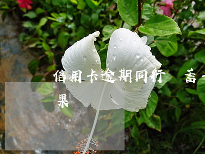 信用卡逾期同行儲蓄卡被扣(信用卡逾期的后果)