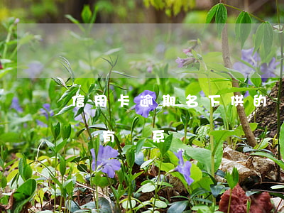 信用卡逾期名下供的車(名下有車欠信用卡有沒有關系)