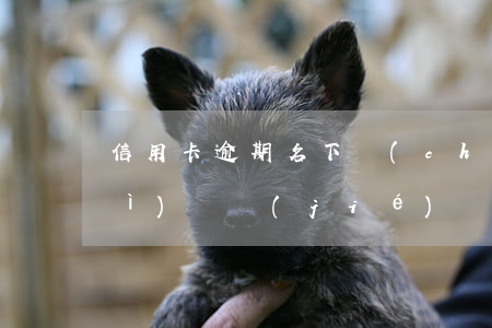信用卡逾期名下儲(chǔ)蓄卡會(huì)凍結(jié)嗎(有逾期會(huì)凍結(jié)銀行卡嗎)
