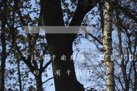 信用卡逾期名下儲蓄卡(發(fā)生過逾期的信用卡賬戶)