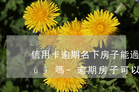 信用卡逾期名下房子能過(guò)戶(hù)嗎-逾期房子可以過(guò)戶(hù)嗎