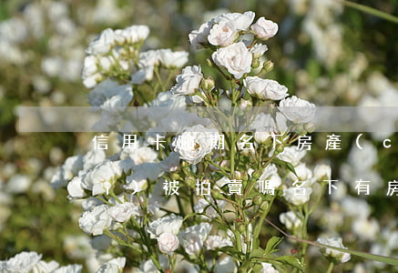 信用卡逾期名下房產(chǎn)會(huì)被拍賣嗎 名下有房產(chǎn)信用卡逾期受影響嗎
