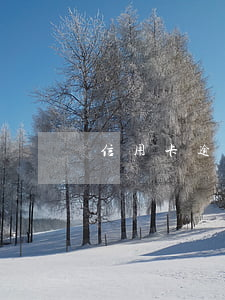 信用卡逾期名下按揭房能賣嗎