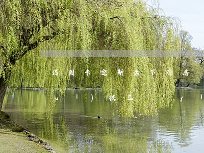 信用卡逾期名下有房會(huì)不會(huì)被(已經(jīng)辦了房貸然后有信用卡逾期有什么后果)