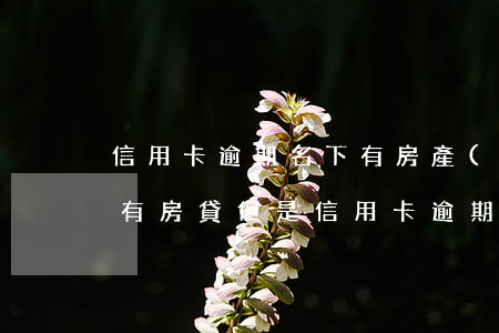 信用卡逾期名下有房產(chǎn)貸款-有房貸但是信用卡逾期了